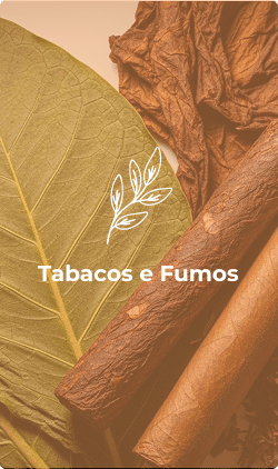 tabacos e fumos